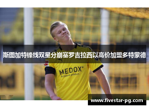 斯图加特锋线双星分崩塞罗吉拉西以高价加盟多特蒙德 斯图加特锋线双星分崩塞罗吉拉西以高价加盟多特蒙德